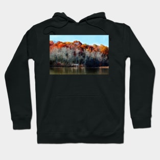 Enchanted Woods Hoodie